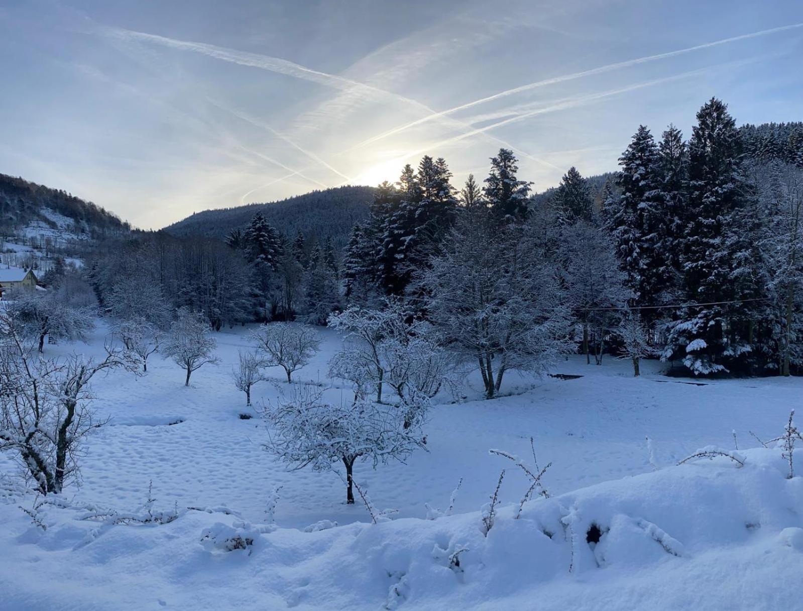 Chalet Notre Retraite Ventron Eksteriør bilde