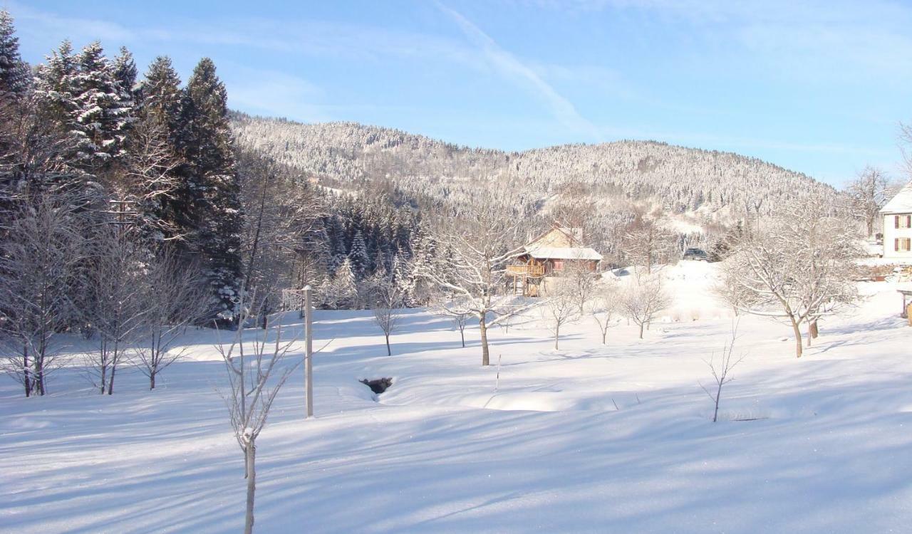 Chalet Notre Retraite Ventron Eksteriør bilde